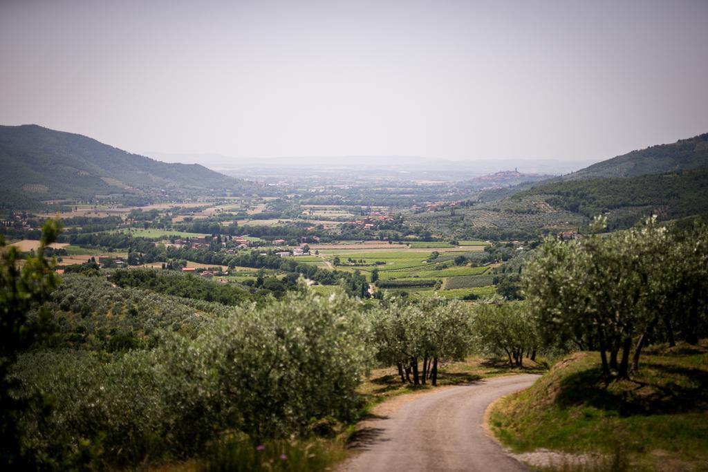 Borgo Al Teto La Vite Daire Castiglion Fiorentino Dış mekan fotoğraf