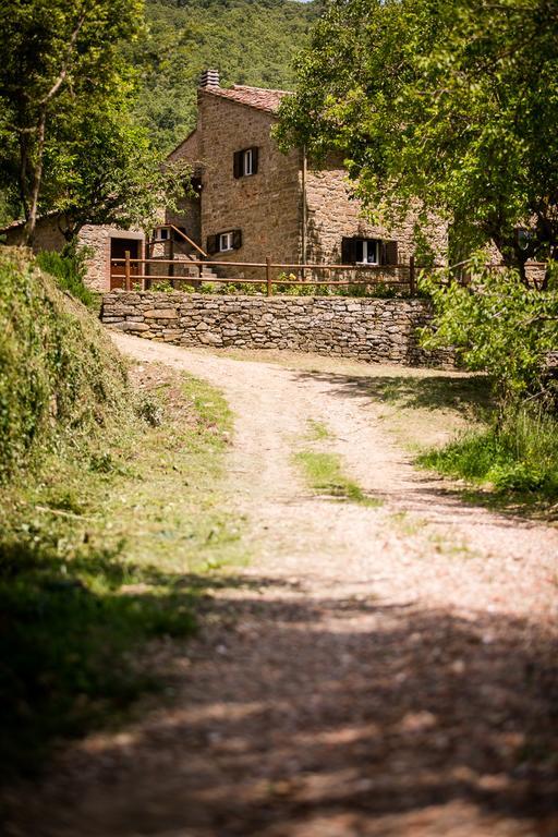 Borgo Al Teto La Vite Daire Castiglion Fiorentino Dış mekan fotoğraf
