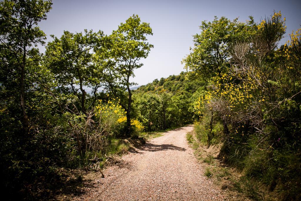 Borgo Al Teto La Vite Daire Castiglion Fiorentino Dış mekan fotoğraf