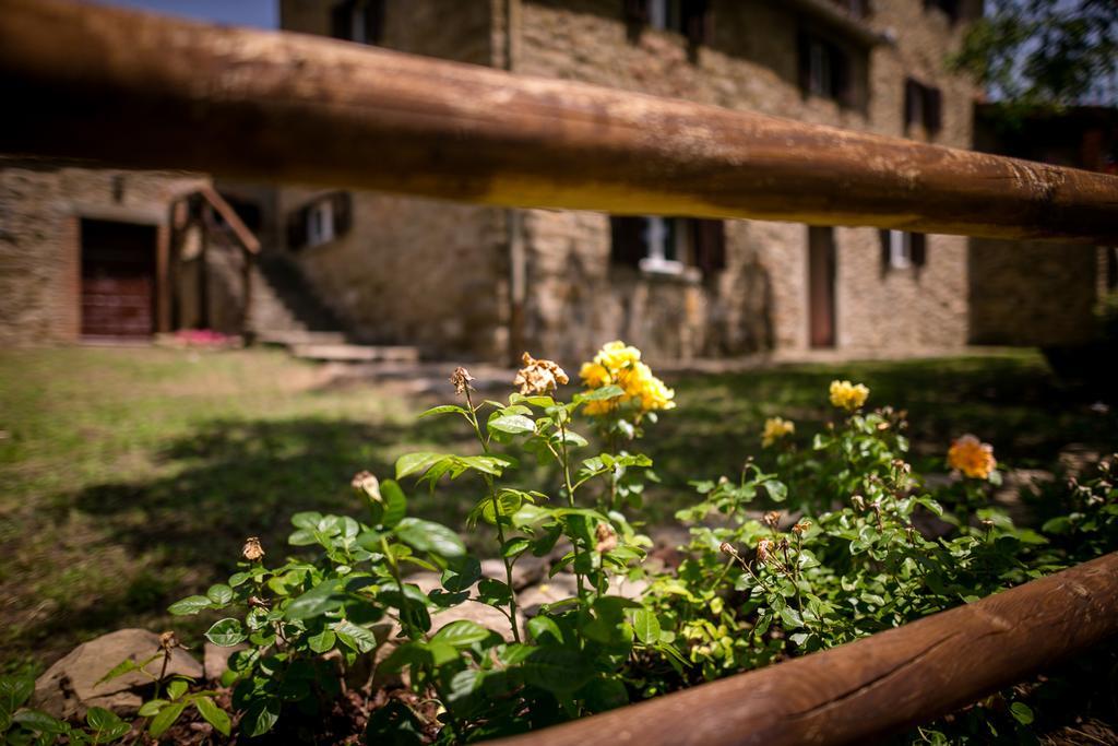 Borgo Al Teto La Vite Daire Castiglion Fiorentino Dış mekan fotoğraf