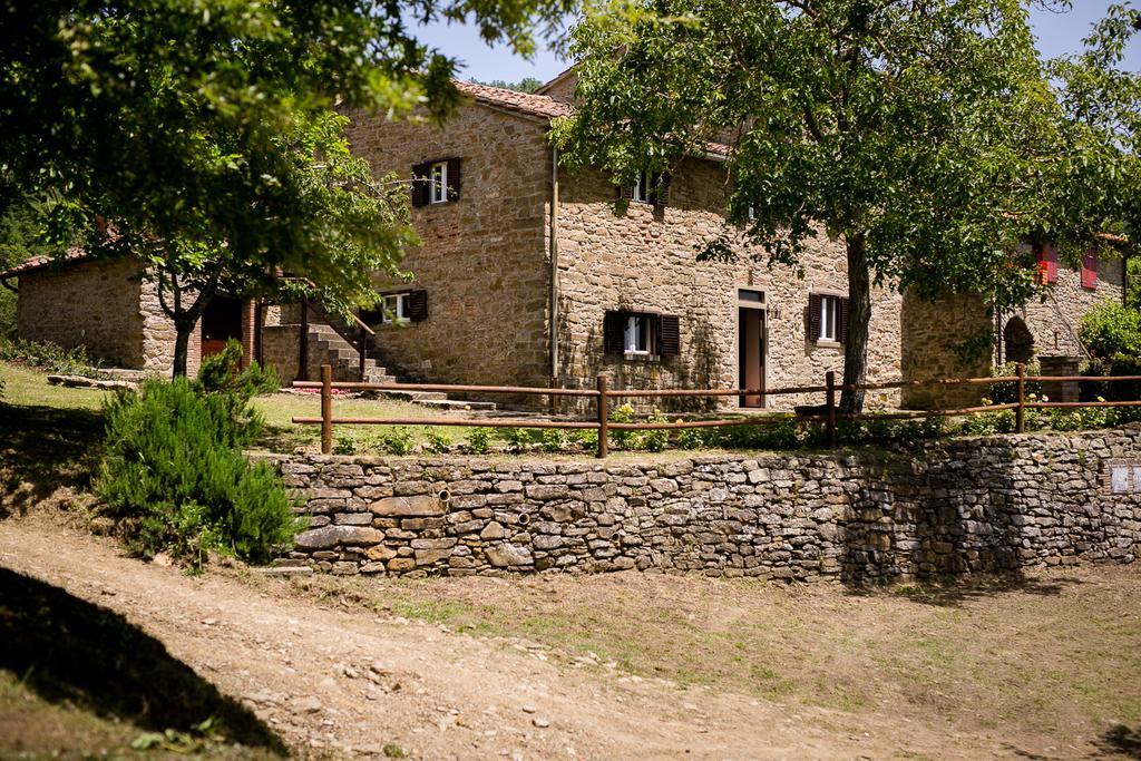 Borgo Al Teto La Vite Daire Castiglion Fiorentino Dış mekan fotoğraf