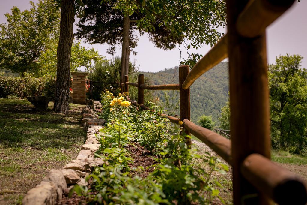 Borgo Al Teto La Vite Daire Castiglion Fiorentino Dış mekan fotoğraf