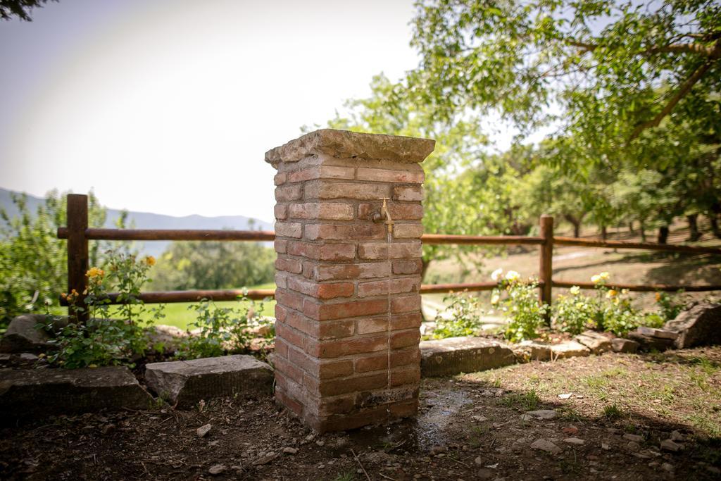 Borgo Al Teto La Vite Daire Castiglion Fiorentino Dış mekan fotoğraf